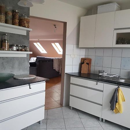 Wczasowisko Karola Apartment Lubomierz  Екстериор снимка