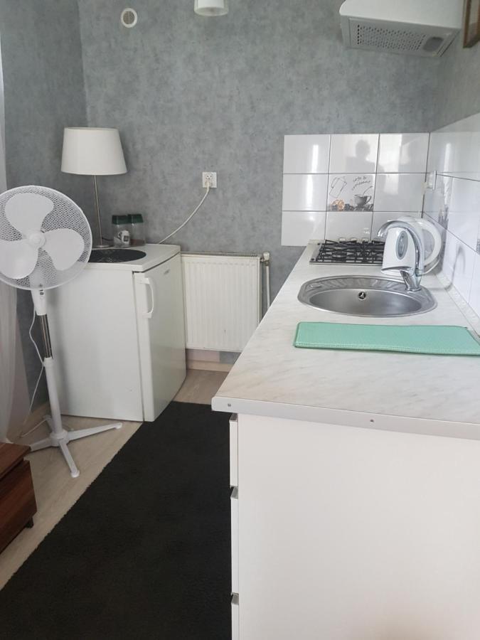 Wczasowisko Karola Apartment Lubomierz  Екстериор снимка
